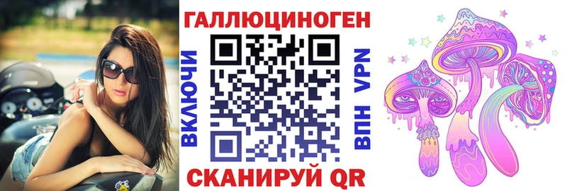 Галлюциногенные грибы Psilocybine cubensis Мариинский Посад